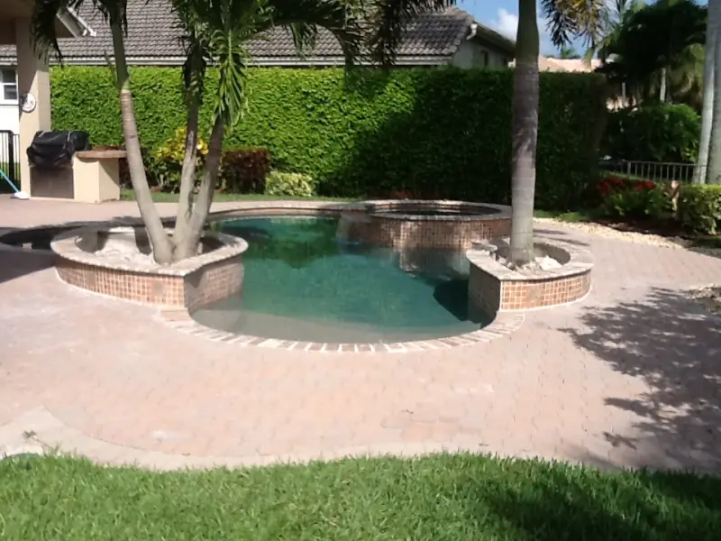 Pool and spa with raised palm planters