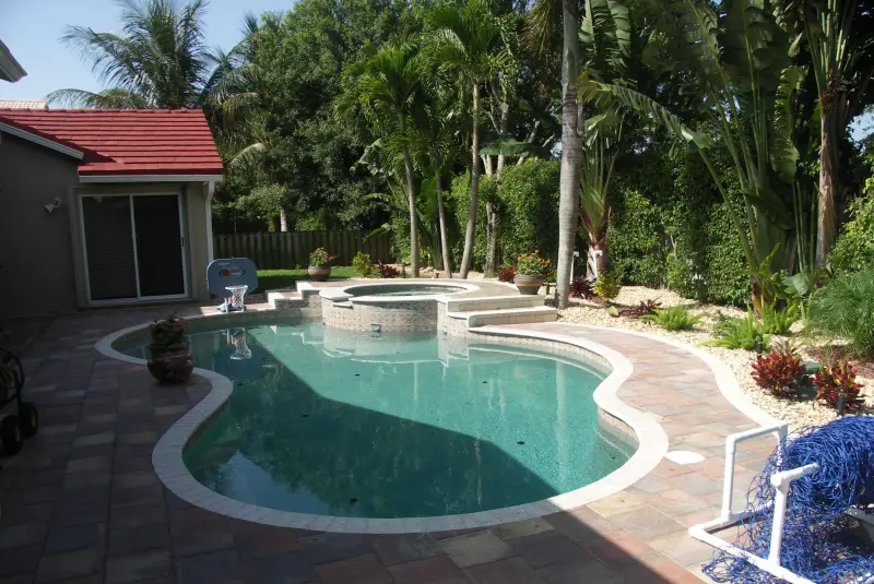Freeform pool with spa in a tropical backyard
