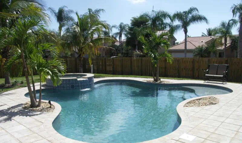Freeform pool with palm island and spa